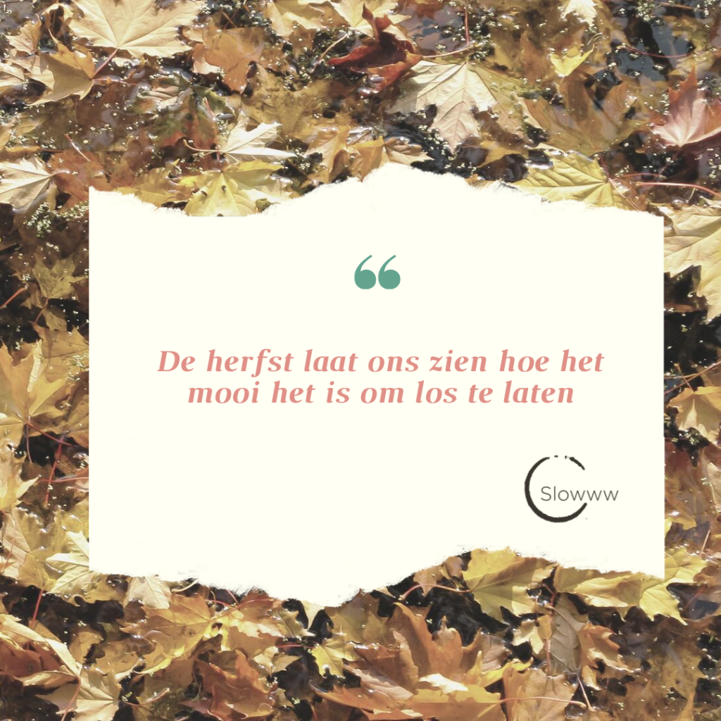 loslaten herfst yin yoga